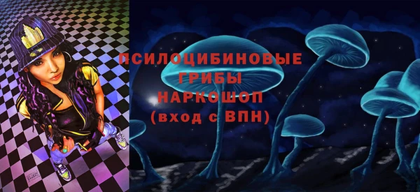герыч Россошь